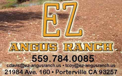 EZ Angus Ranch